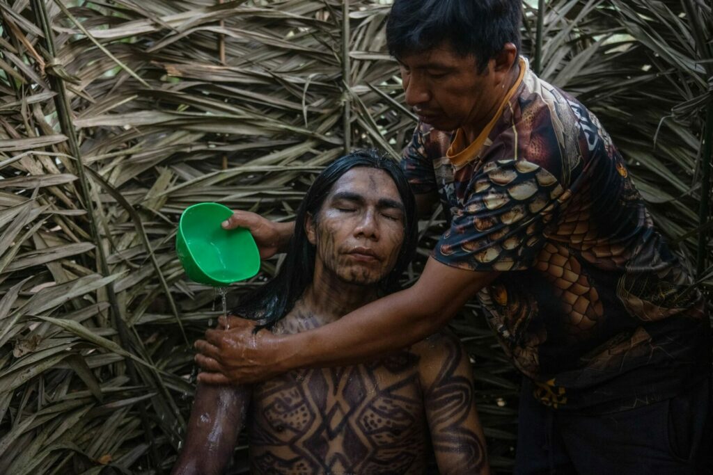 El chamán Pocha da a Xinã un baño de hierbas como parte del ritual de limpieza. Además de estas acciones, los sueños, las tradiciones orales y las visiones inducidas por la ayahuasca son los tres elementos clave de la iniciación de un chamán. Créditos: Victor Moriyama / Dialogue Earth