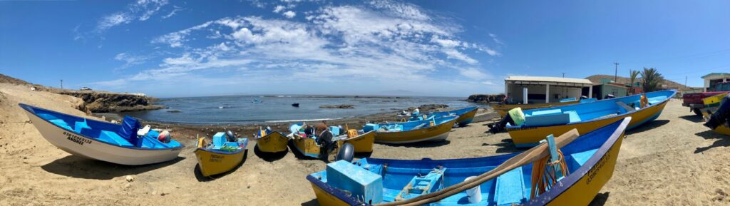 “Pangas” o embarcaciones de pesca artesanal de la Isla Natividad. Foto: Fiorenza Micheli