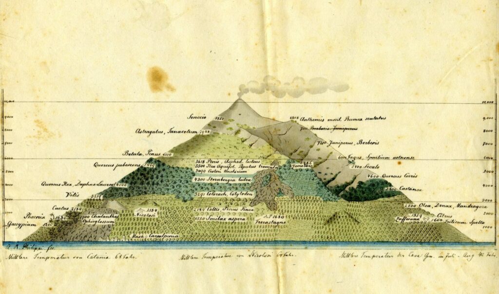 Acuarela original del Volcán Etna de  Rudolph Philippi. Créditos: Fondo documental Rudolph Amandus Philippi