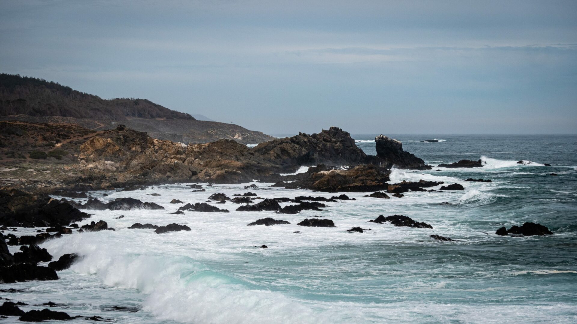 Pescadores artesanales de La Polcura inauguran un Refugio Marino para sumar a la comunidad en su conservación