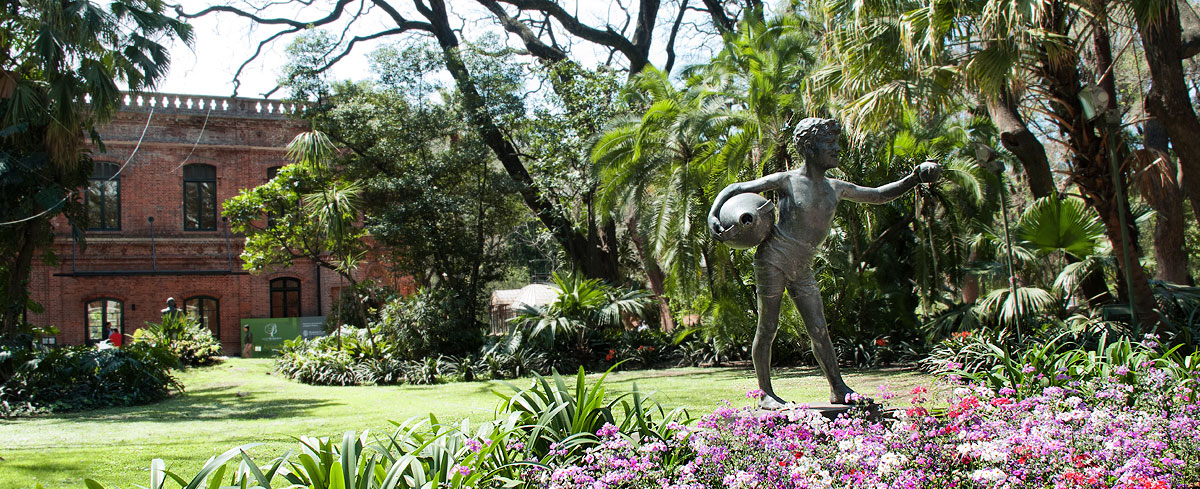 Un viaje por el pasado y el presente del Jardín Botánico de Buenos Aires, el pulmón verde que aún sobrevive en el ajetreo de la capital argentina