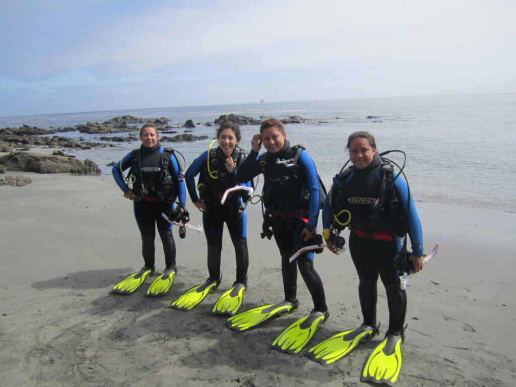 Sirenas de Natividad durante un curso de Open Waters. Foto: Arturo Hernández-Velasco / COBI