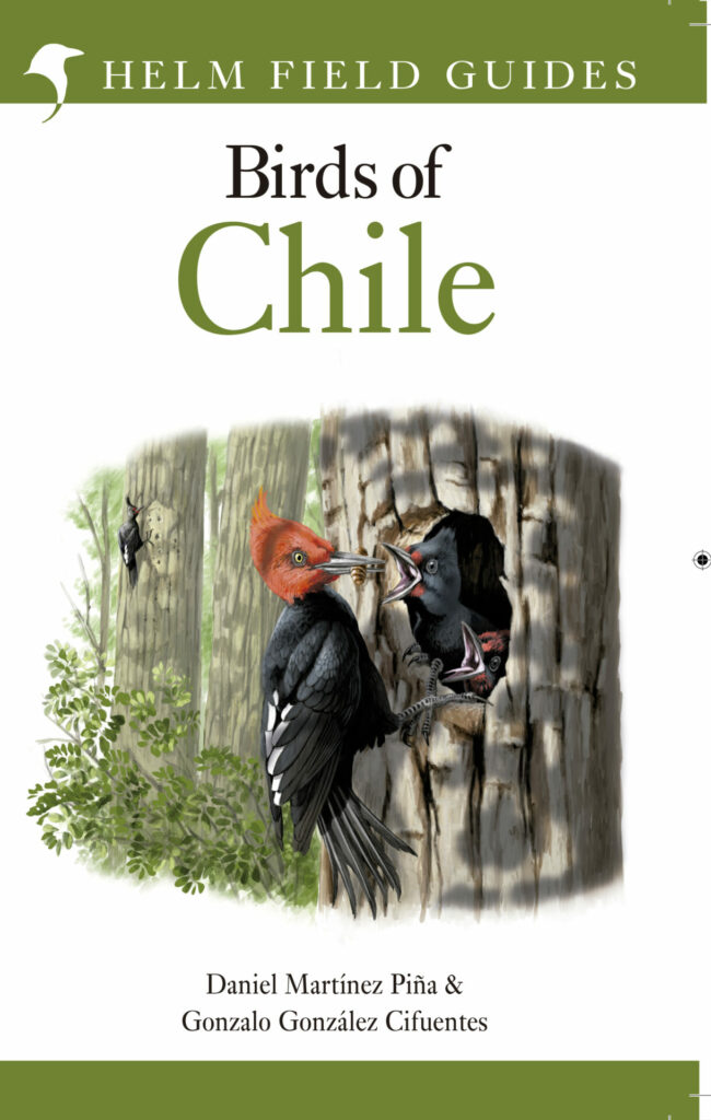 Birds of Chile. Créditos: Daniel Martínez-Piña.