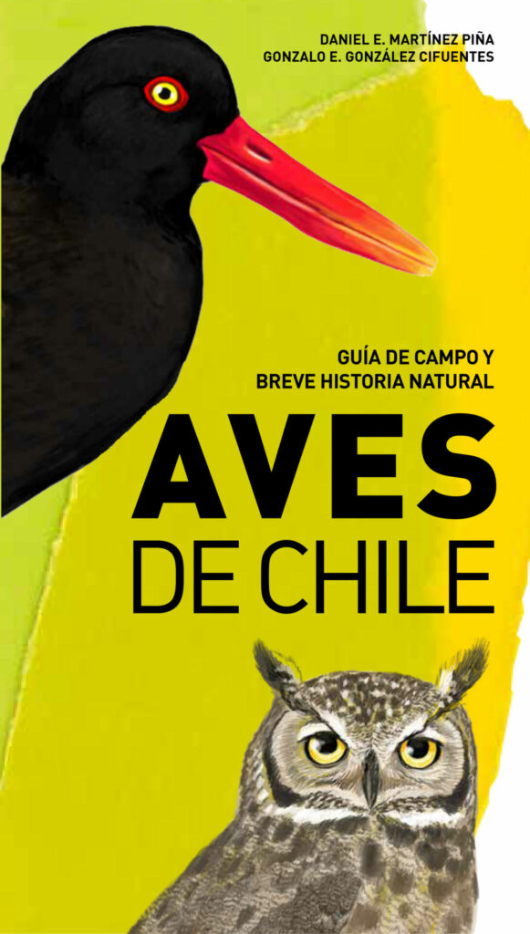 Guía de campo y breve historia natural: Aves de Chile. Créditos: Daniel Martínez-Piña.