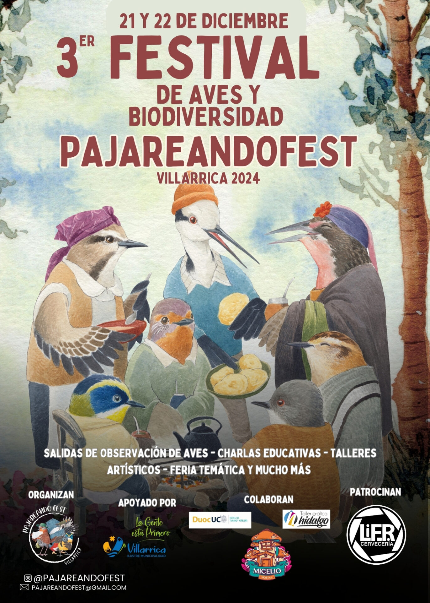 Tercera versión de Pajareando Fest, el Festival de aves y biodiversidad de Villarrica