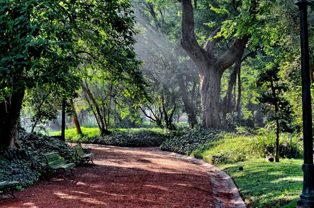 Jardin botanico - Gobierno de la Ciudad de Buenos Aires