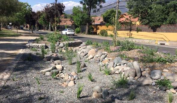 Figura 8: Jardines de lluvia diseñado e implementado por el Centro de Estudios Agua Tierra en la comuna de Peñalolén en agosto de 2024. Fuente: Centro de Estudios Agua Tierra.