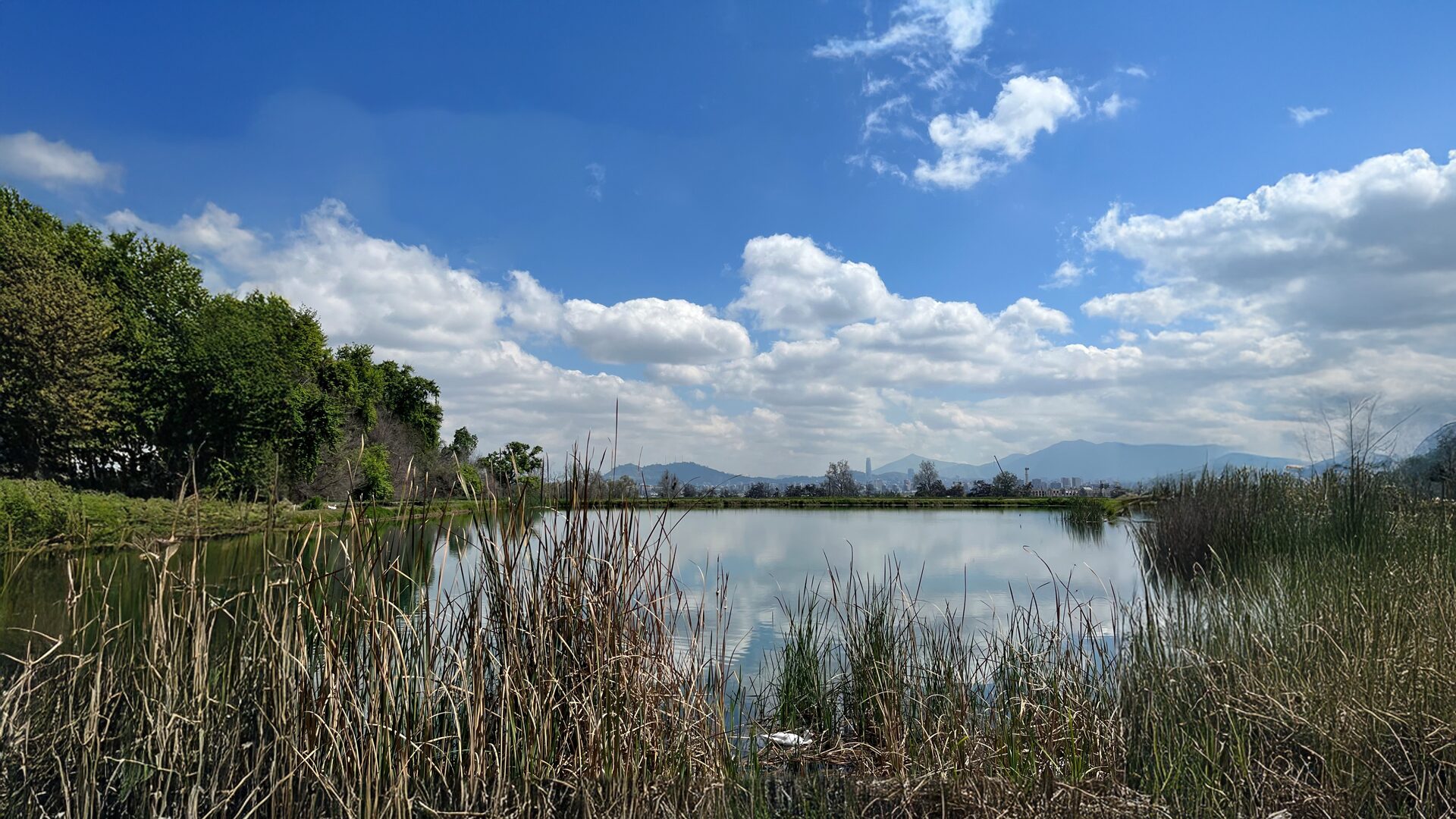 Jardín de Macul: un imperdible para disfrutar en familia y conectar con la naturaleza