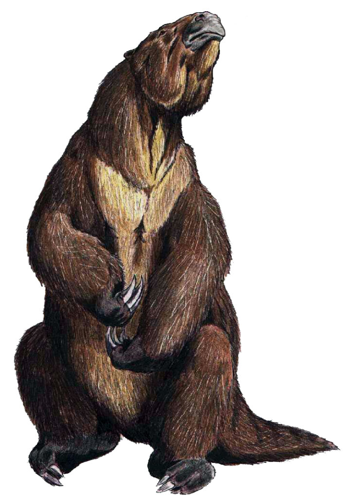 Animal del género Megatherium. Créditos: ДиБгд.