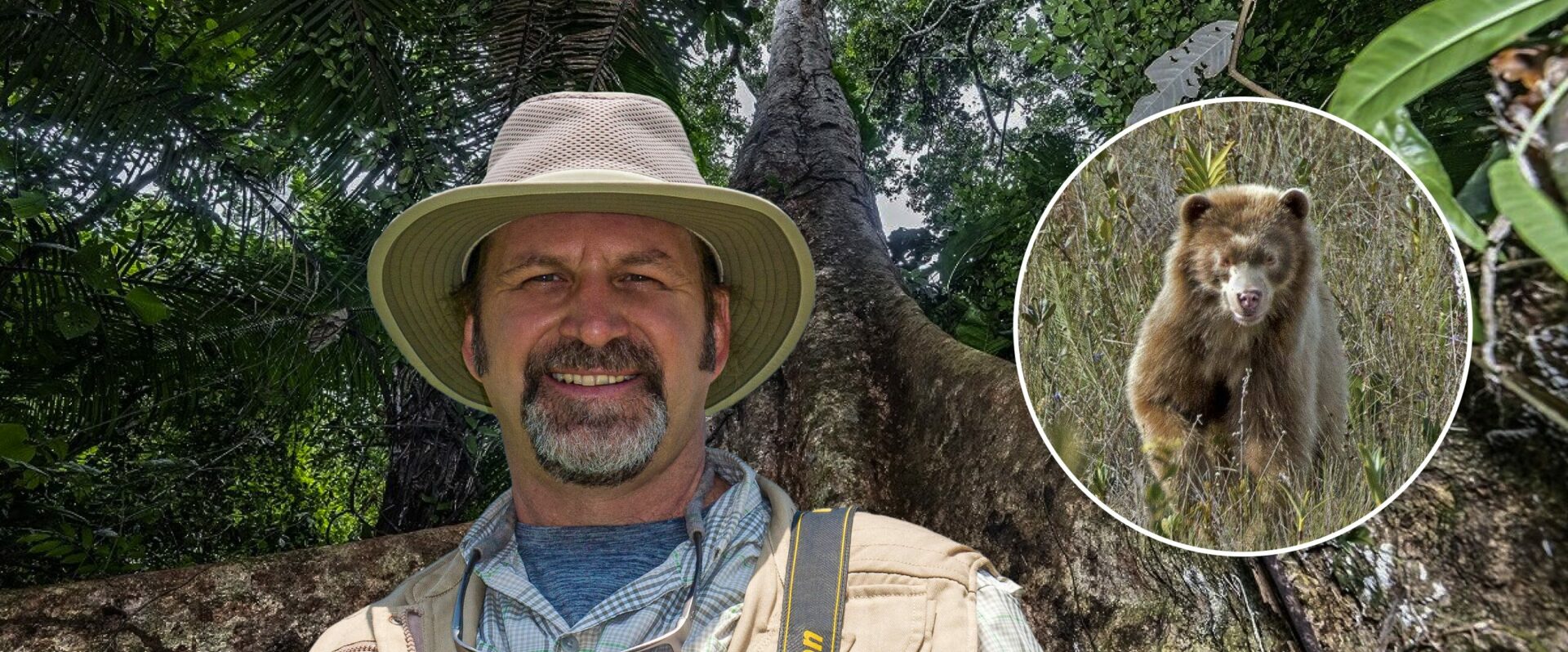 Detrás del lente de Michael Tweddle, la primera persona en fotografiar un oso dorado en Perú