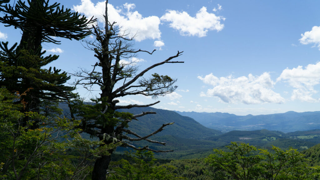 Mirador Molulco. Créditos Verónica Droppelmann