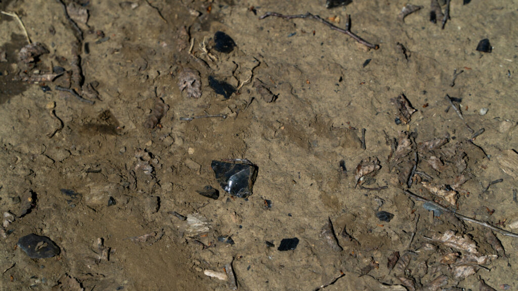 Obsidiana, sendero laguna Mirador. Créditos Cristóbal Ogrodnik.