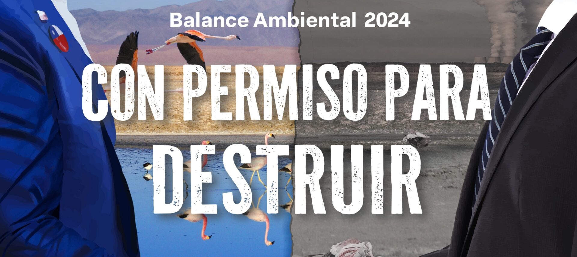 Fundación Terram destaca lo mejor y peor del 2024 en nuevo balance ambiental