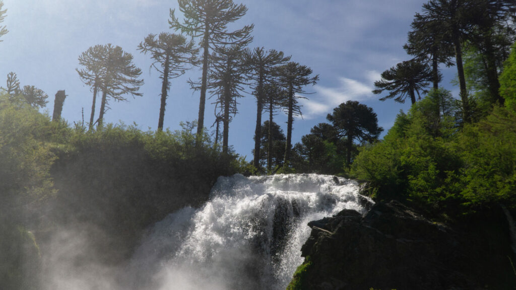 Salto del Tiriento. Créditos Cristóbal Ogrodnik.