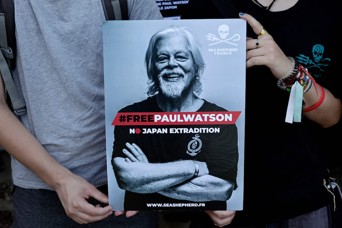 “Paul Watson es libre”: aseguran liberación del activista defensor de ballenas