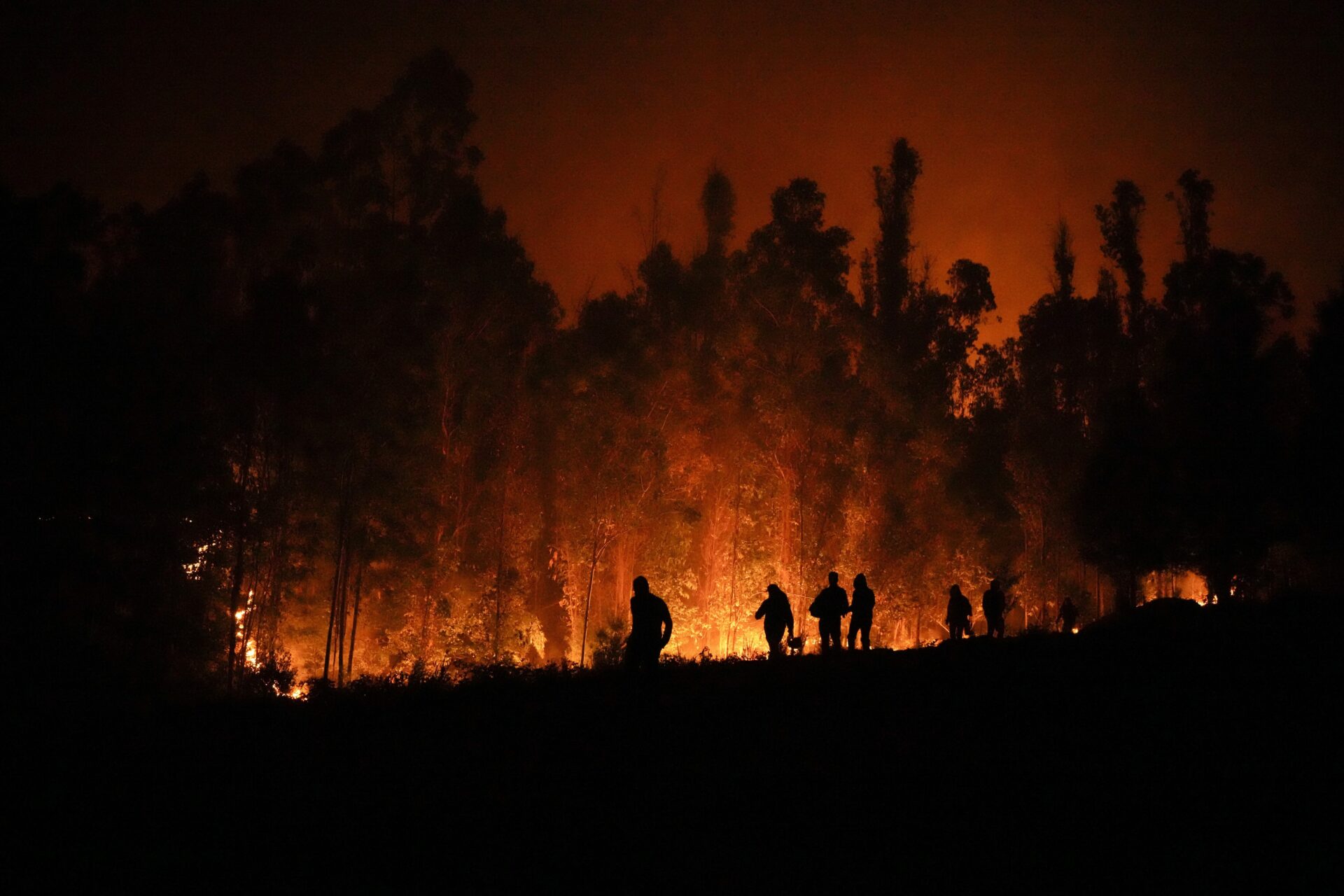 La importancia de prepararnos para los incendios: ¿cómo prevenir y cómo debemos actuar los ciudadanos frente a estas catástrofes?