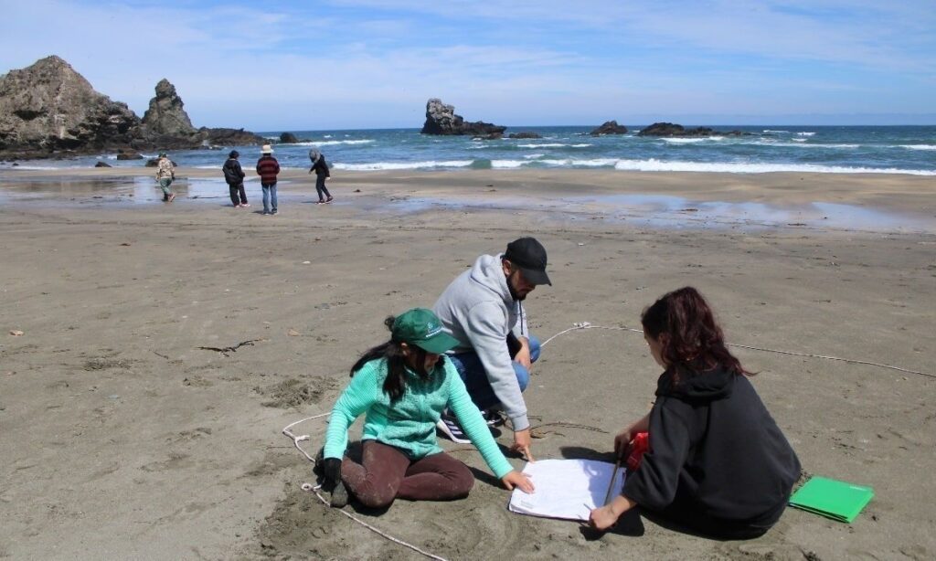 Monitoreos de basura junto a escuelas de la costa de Valdivia. Créditos: ONG Lafken Lif