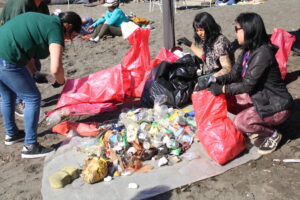 Recolección de basura en Playa Grande de Niebla. Cada residuo es separado y, posteriormente, llevado a reciclar. Créditos: ONG Lafken Lif.