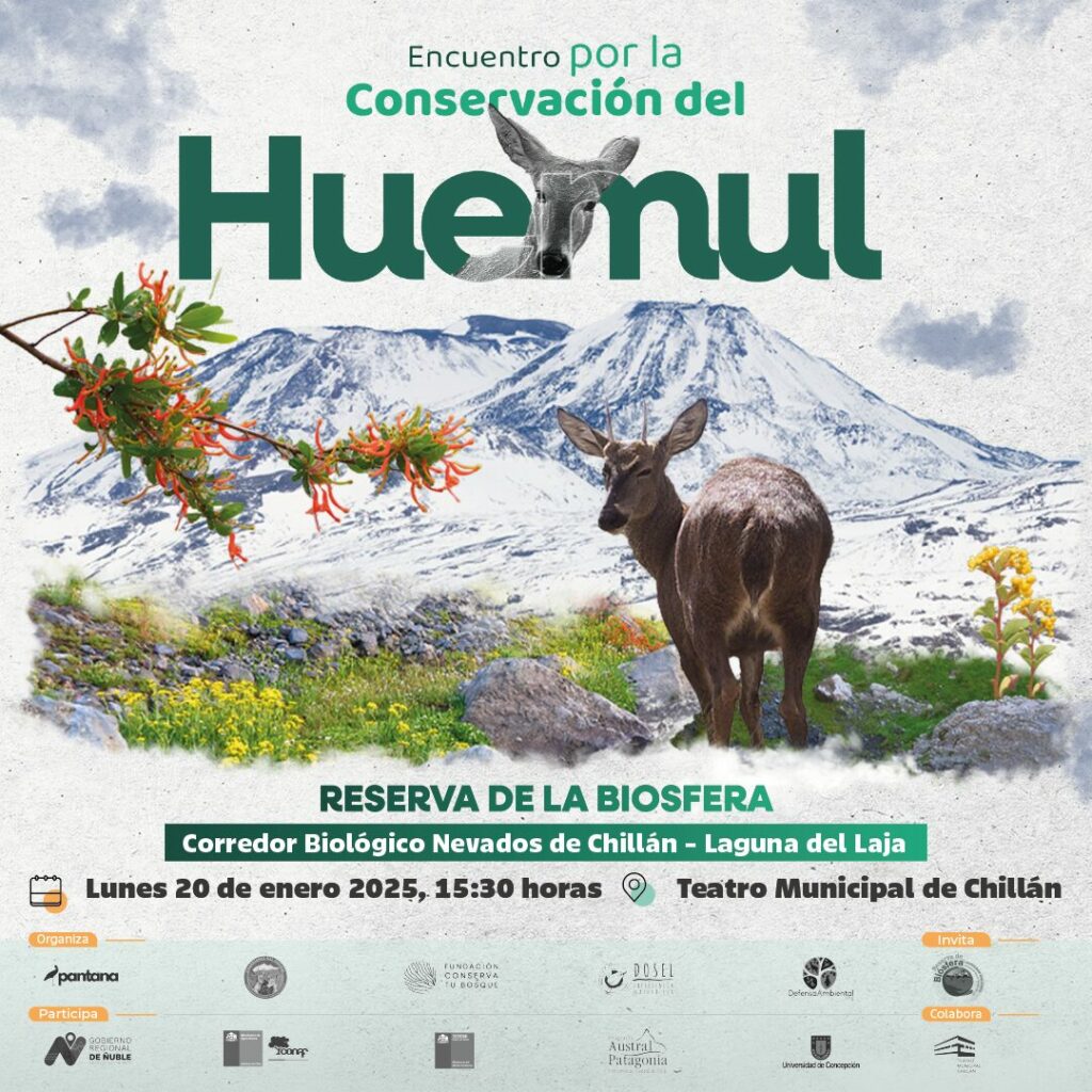 Afiche Huemul