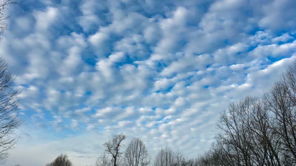 Altocumulus. Créditos: What's this Cloud