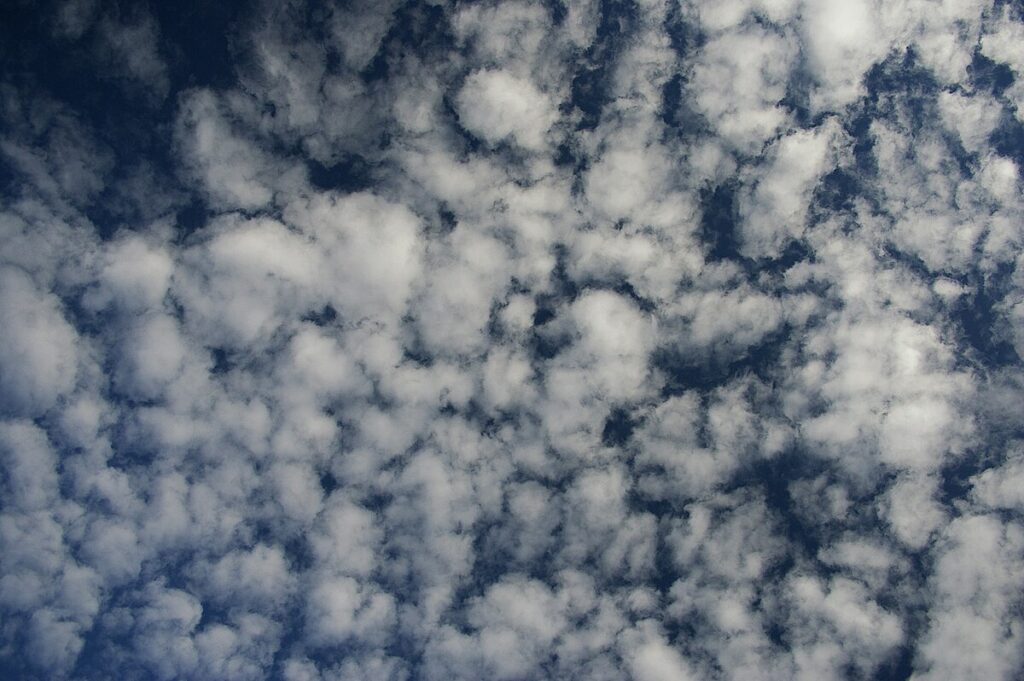 Altocumulus. Créditos:  Bidgee, Wikimedia commons. 