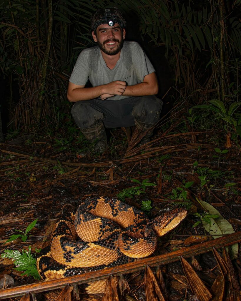 Andrés Novales