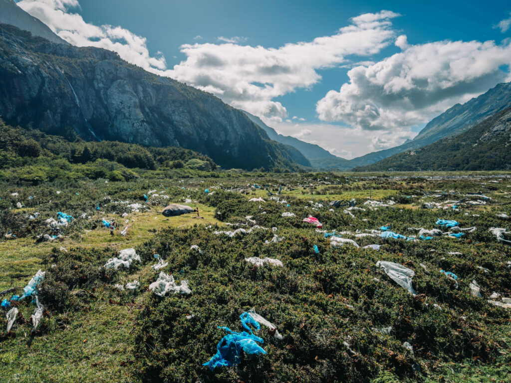 Basura plástica en Bahía Jackson. Créditos: Pablo Loncón.