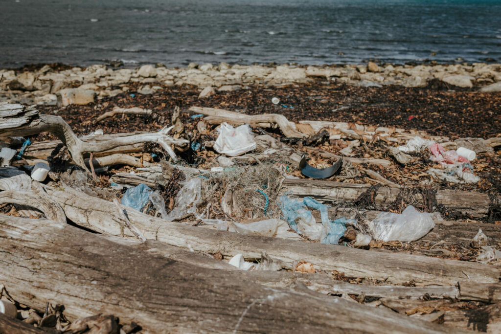 Resioduos en playa de Bahía Jackson. Créditos: Pablo Lloncón.