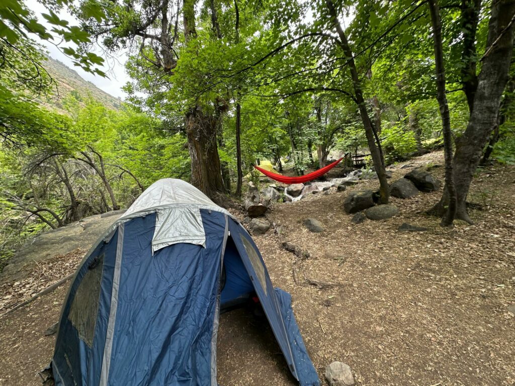 carpa en el bosque. c joel carvajal