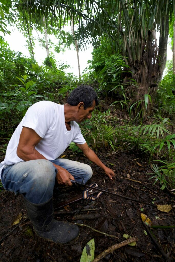 Sandro Tigrero, guía turístico, artesano y comunero de Dos Mangas, cuenta que hace 20 años se sobreexplotaron los árboles de tagua y se cortaba hasta la última hoja. Crédito: César Mera, cortesía de Revista Vistazo.