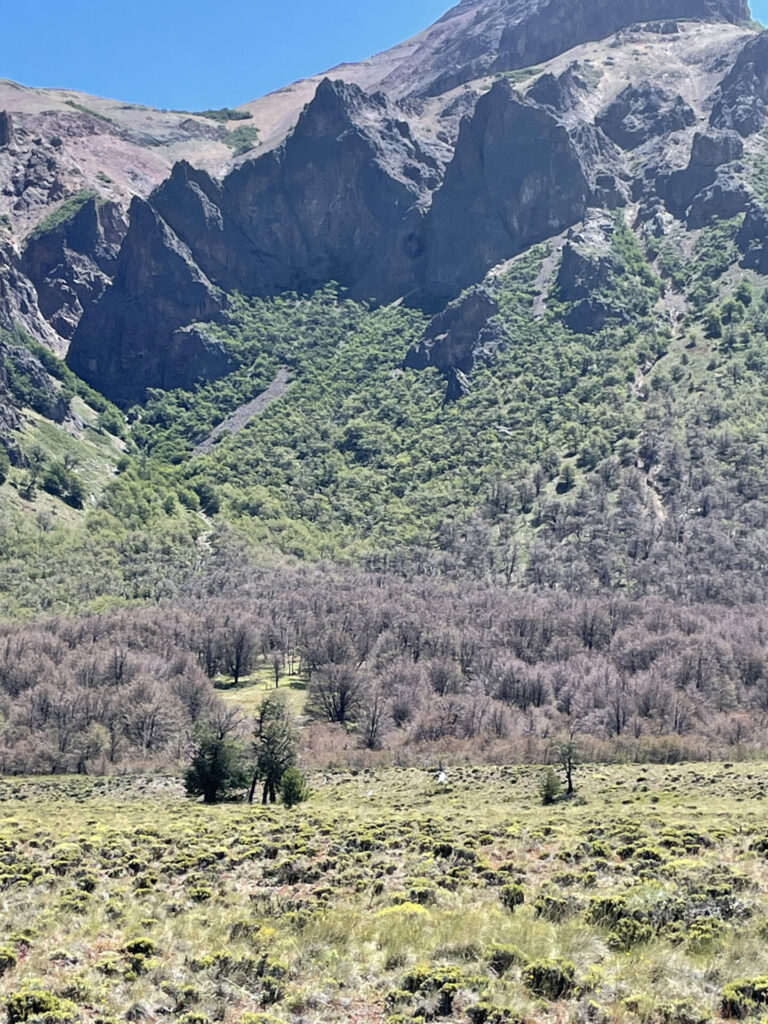 Parque Nacional Patagonia. Créditos: LabGRS PUCV / Q-ForestLab / Instituto de Geografía PUCV.