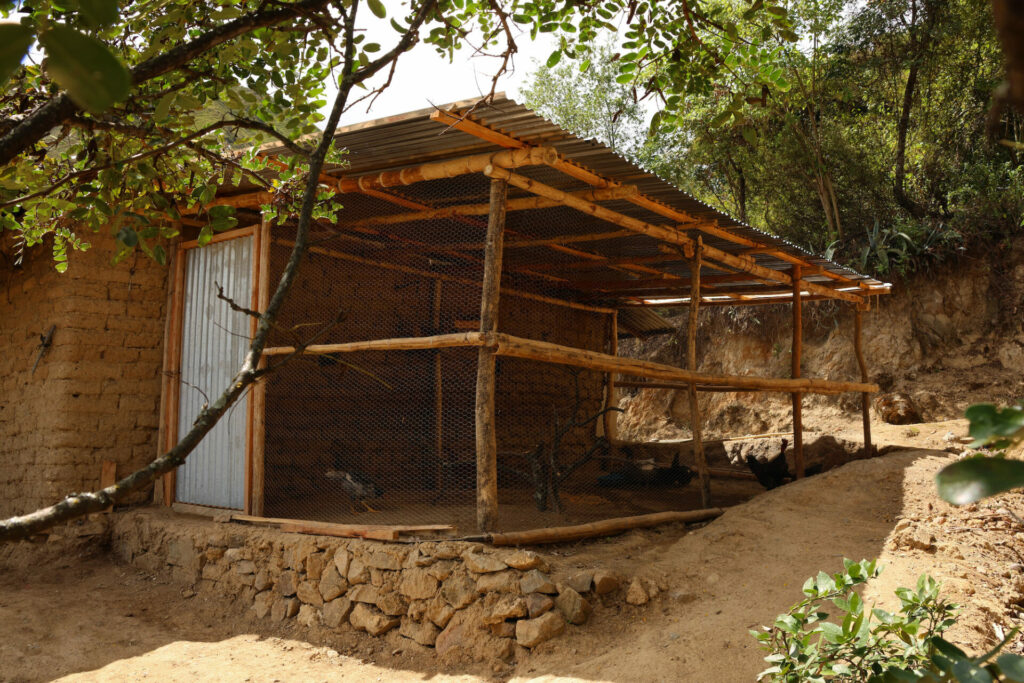 Uno de los gallineros antidepredatorios que construyen los técnicos para evitar la cacería por represalia. Foto: cortesía del Pampa’s Cat Working Group.