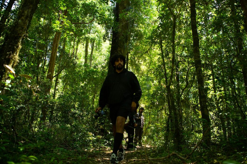 Bosque valdiviano. Créditos: Servicio Nacional de Turismo.