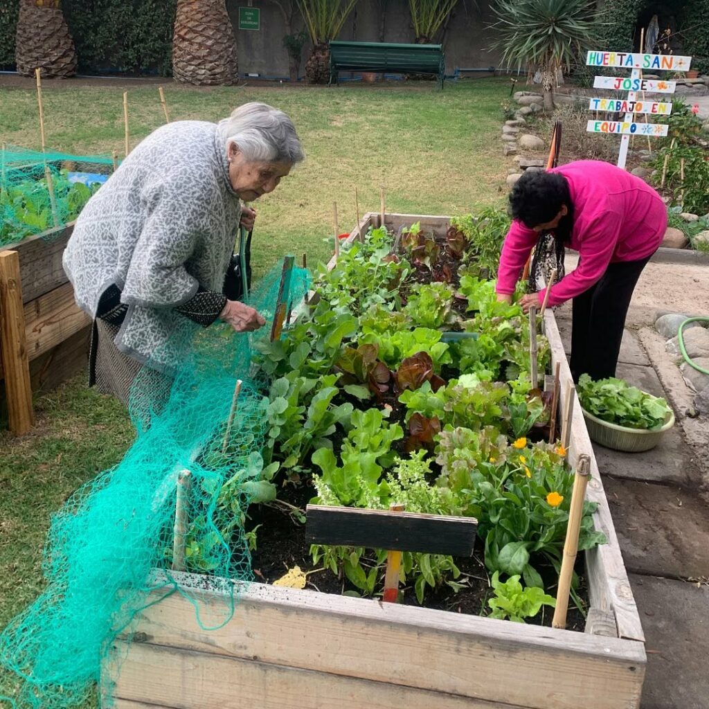 huerta comunitaria en Hogar San José. Créditos: Fundación Huertos Comunitarios