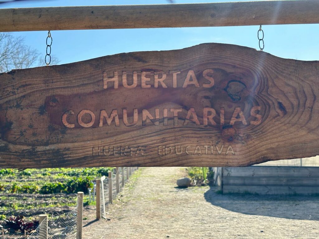 Huerta comunitaria La Pintana. Créditos: Ana María Cortés - Huertas Comunitarias