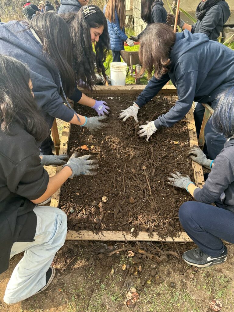 Huerta comunitaria La Pintana. Créditos: Ana María Cortés - Huertas Comunitarias