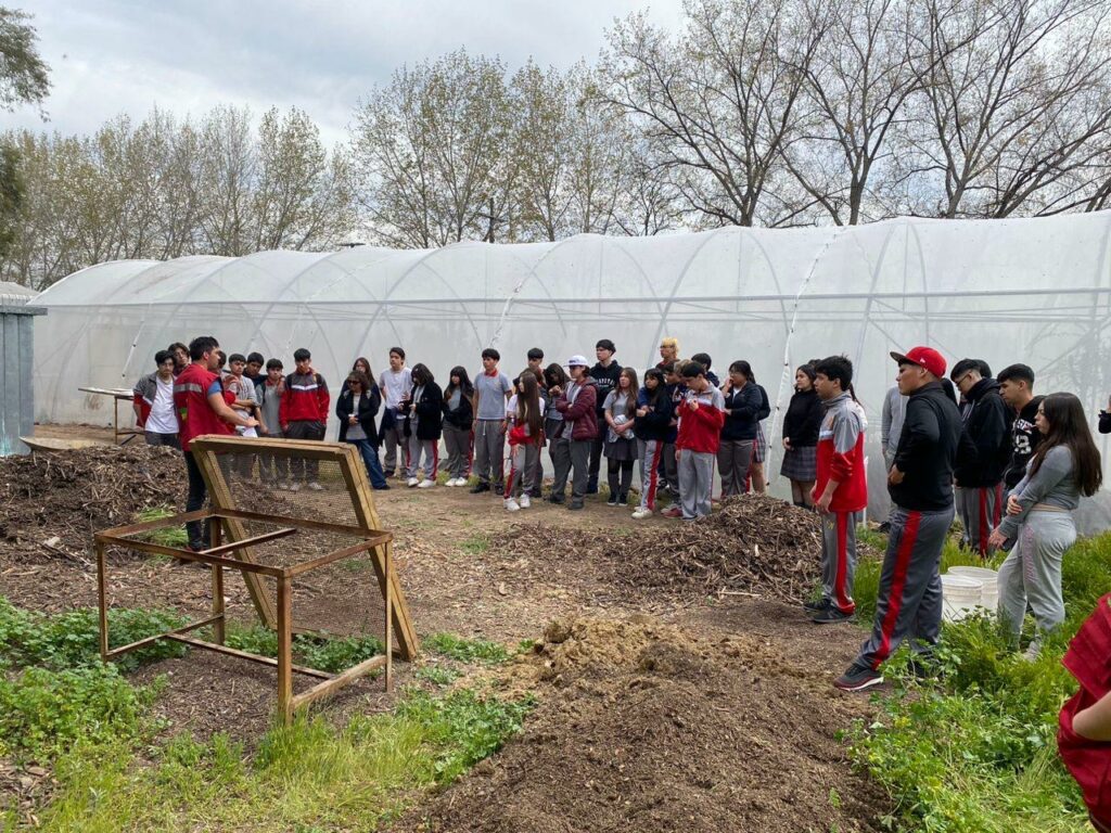 Huerta comunitaria La Pintana. Créditos: Ana María Cortés - Huertas Comunitarias