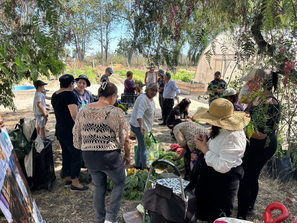 Huerta comunitaria La Pintana. Créditos: Ana María Cortés - Huertas Comunitarias