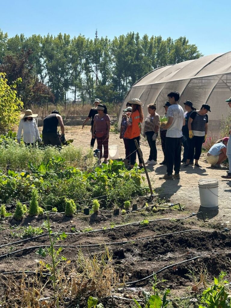 Huerta comunitaria La Pintana. Créditos: Ana María Cortés - Huertas Comunitarias