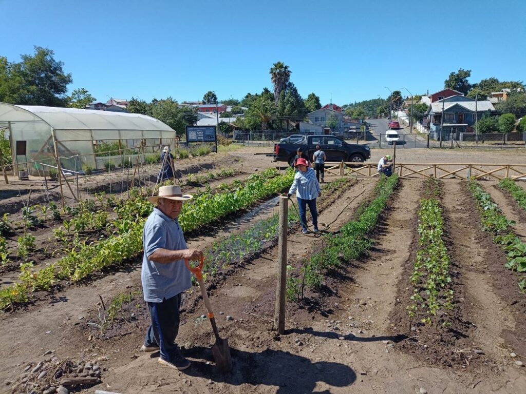 Huerta en comunidad en Nacimiento, en el parque Alessandri CMPC. Créditos: Ana María Cortés - Huertas Comunitarias