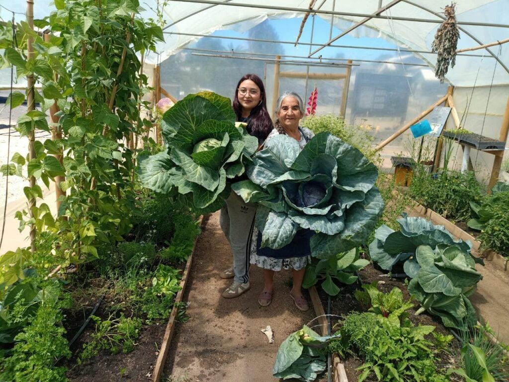 Huerta en comunidad en Nacimiento, en el parque Alessandri CMPC. Créditos: Ana María Cortés - Huertas Comunitarias