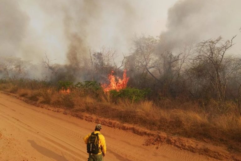 Incendio en la Chiquitanía de Bolivia durante 2019.