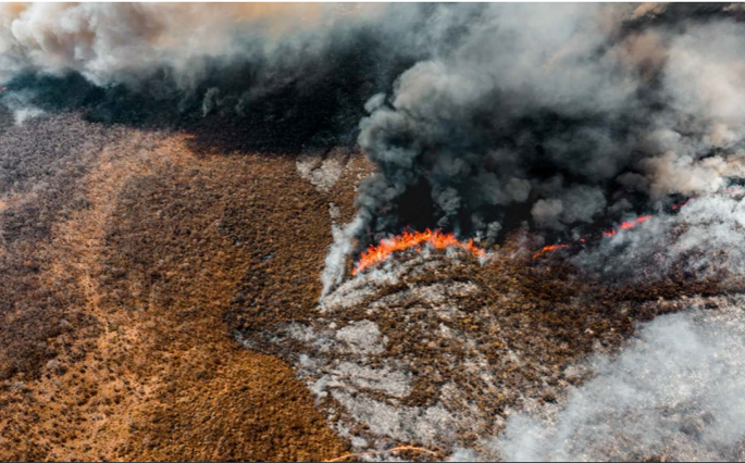 Incendios en la Chiquitanía. Cortesía de Fundación para la Conservación del Bosque Chiquitano (FCBC).
