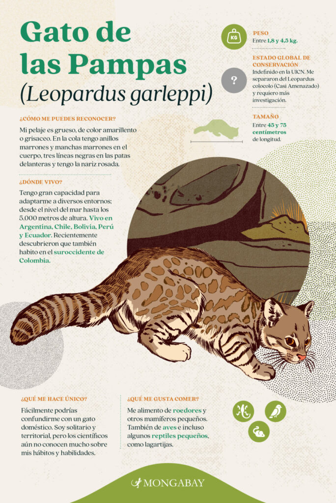 Infografía de Mongabay