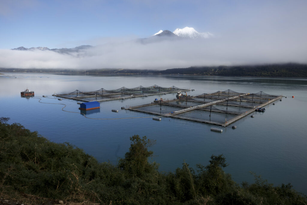 Centro de cultivo de salmón en estuario de Reloncaví, comuna de Cochamó, Región de Los Lagos, Chile.