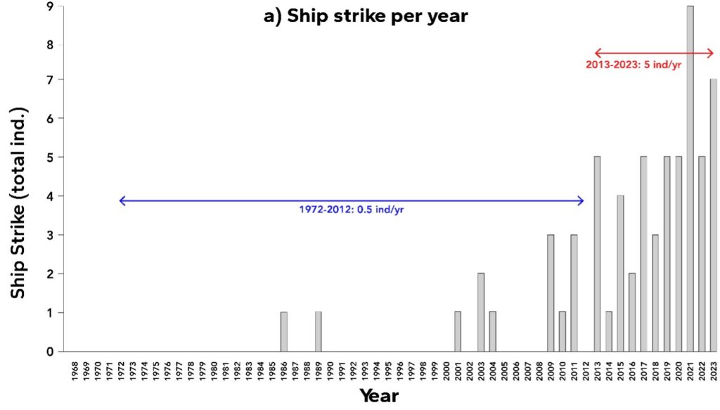 Serie temporal de la mortalidad de ballenas por colisiones por año entre 1972 y 2023, con la tasa de individuos muertos por año en dos períodos de tiempo: antes y después de 2013.