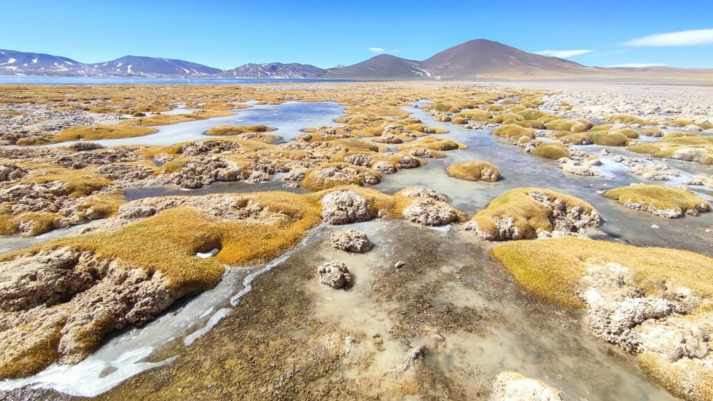 Salar en la Región de Antofagasta