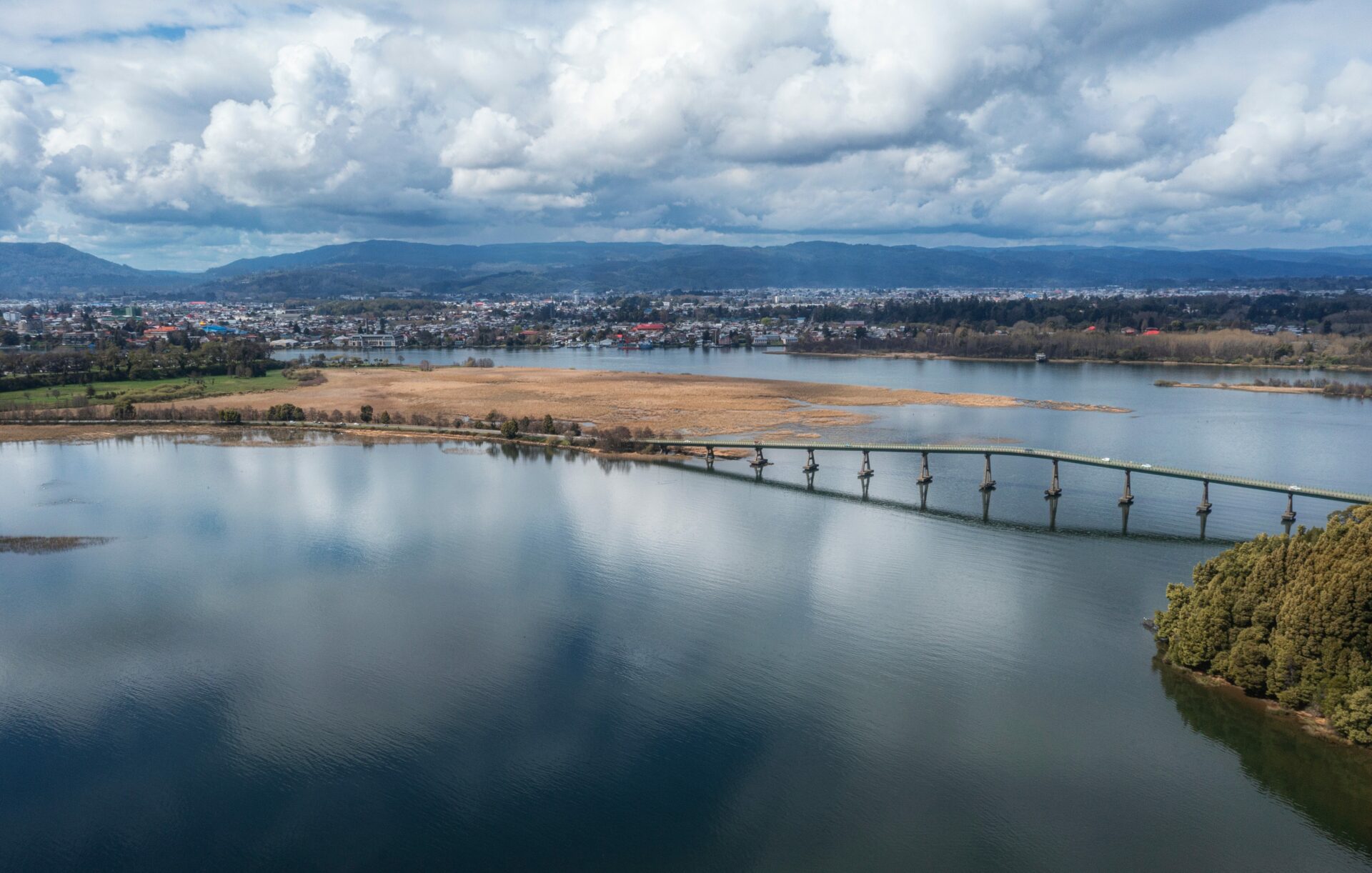 OPINIÓN | ¿Qué significará ser Ciudad Humedal para Valdivia? Más allá de un reconocimiento internacional, un motor para la gestión y conservación de sus humedales