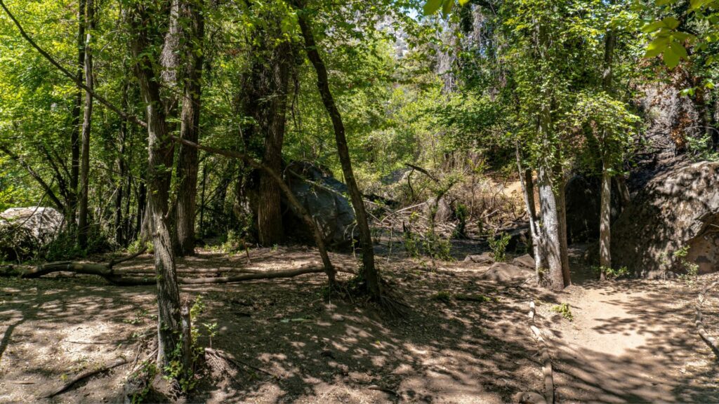 Parque Natural Aguas de Ramón. Créditos: Alexis González.