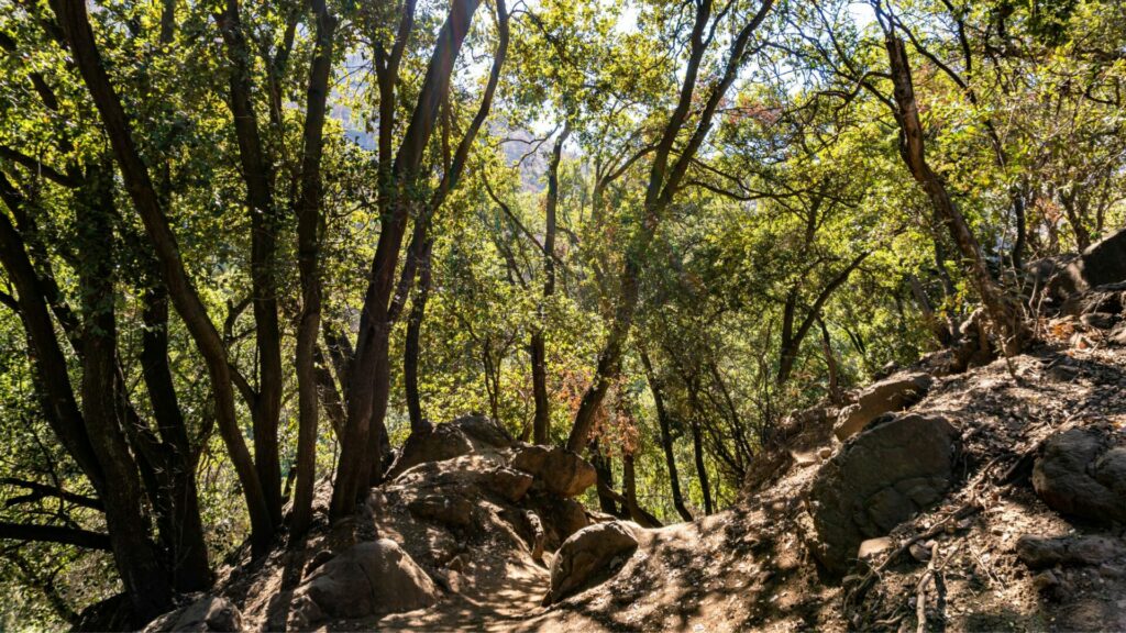 Parque Natural Aguas de Ramón. Créditos: Alexis González.